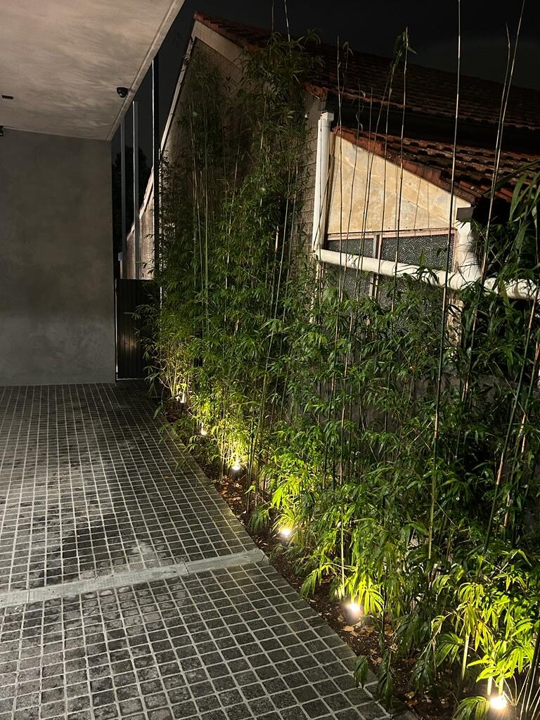 Garden uplights along a bamboo walkway